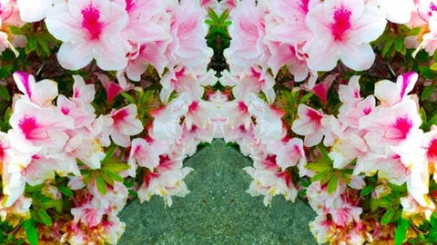 D93887e6fc4de44b76baf2f77ec8767d