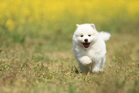 7c148743ed66cfa5723cff54499dd210