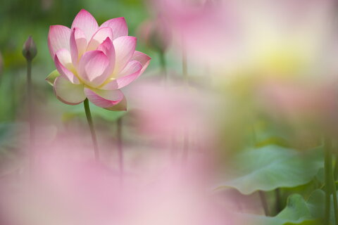 7b67ee23b6870b3e9687fde94b568c0e