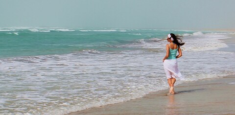 E170527d1fe81d834922365db9548893