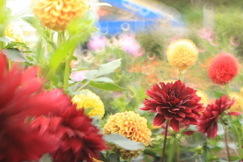 8ef4918bef3d00a8bee823fddf5e5061