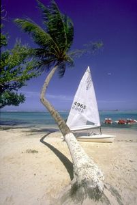 E71f7dd621944c156183e3a6f754ca50