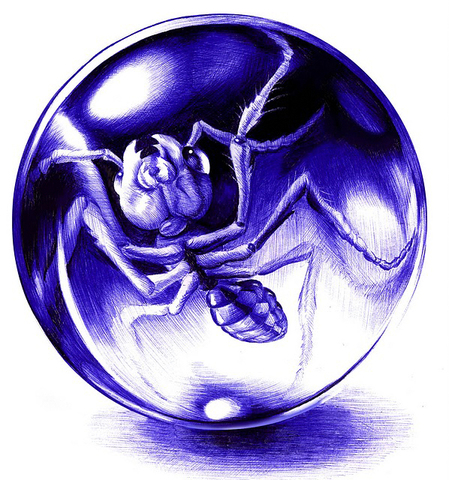 528cb41e4d9db56aef0e9f0270258a16