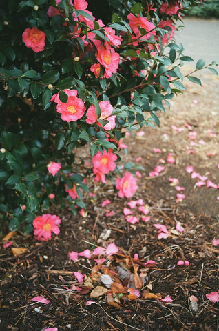 17e261afbdc826f9eac985a90050731f