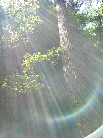 A442ca3bfe446f9a6f135b4a5ed6b555