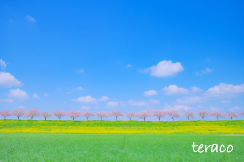 9fc871892b226c616ee46ec8013e0c09