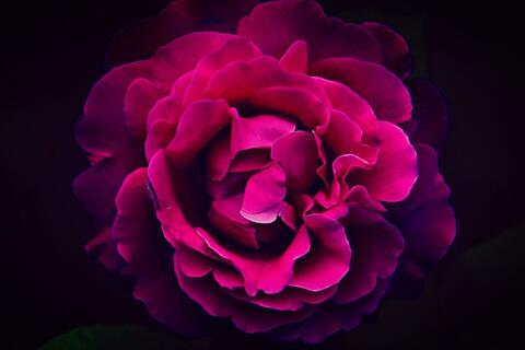 7adb674577fc21dbf70935301a9ea8e0