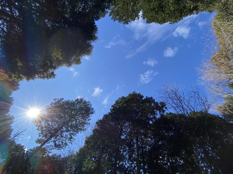 8baba21721641d76ea2865d986b14eb0