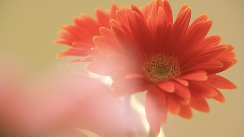 523a73402d4651ad2f9b26711bf58892