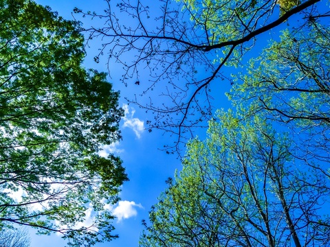 D47da69ef49fa36b7c513a58dc134d6e