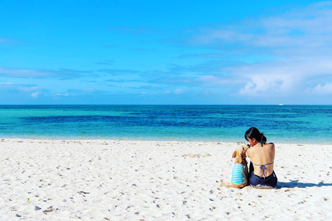 3b891b428ce3e643258009d7b96f24b6