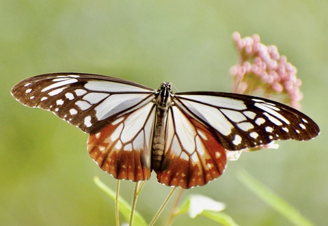 C9018fe7eb4d28e8781a3f5c46debf26