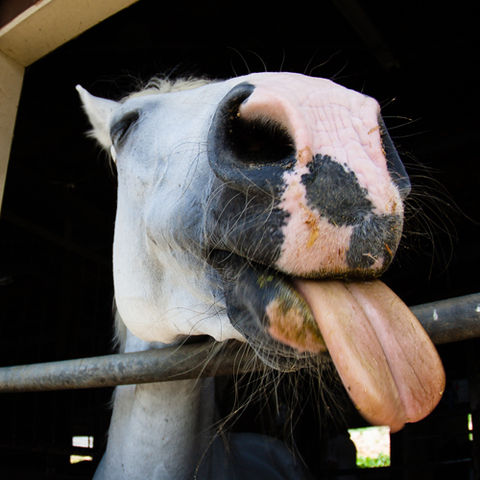 E88821295bd536f15f79d16a817ccf27