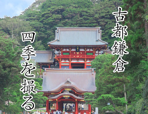 71bbde4fd1b5659b80096ad8ccbb3e38