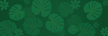 642597e308f67b0a0fe903206841fd9e