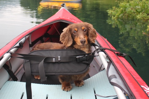 218075fb08035e59709f854950a8f3d8