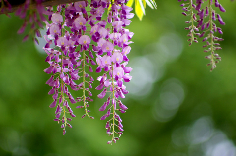 34e951c8e4d9d747ca9140e37a675e6f