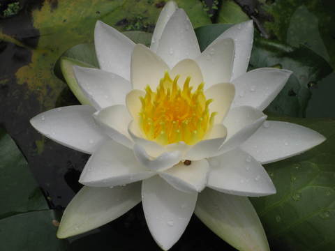 4f24bced20a9e025ee54917913b921c2