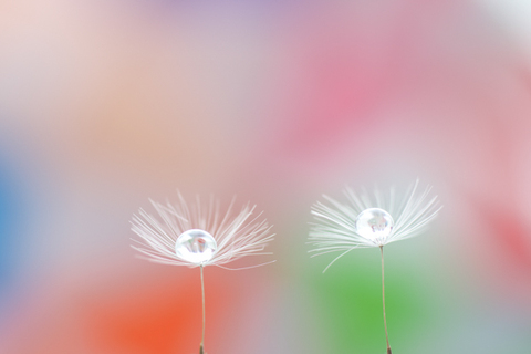 1d4505c700f8e2bbb7ed0b4cb500b661