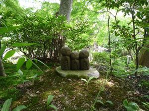 4663594f2638e7c58798ec29db165943