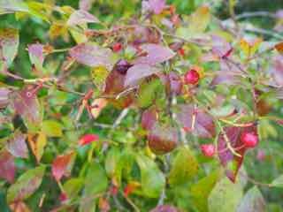 B41f11b9c7bb3cd8b560b8d79b931cfd