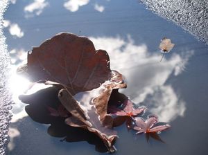 9e7ecd753c3050dff8dd9eedc3c638c6