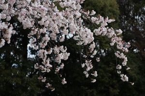 0082a00644b8875935f68c387edacbb1