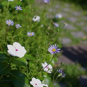 320c7338894d655610ab6d1df0eac8b3