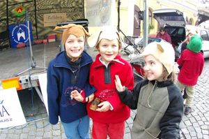 8ab725896cafdc3dc556d342c8e0bb50