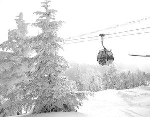 B91f3477cacc62d777b79825408cf228