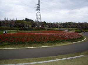 4689d3888103e4990cc60d8dc87e8f66