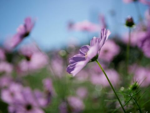 54ab5c280834bf7c57a5ccf06557172c