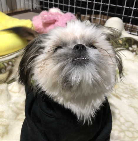 E81bdf8d84893152d2eaea8e513eccb9