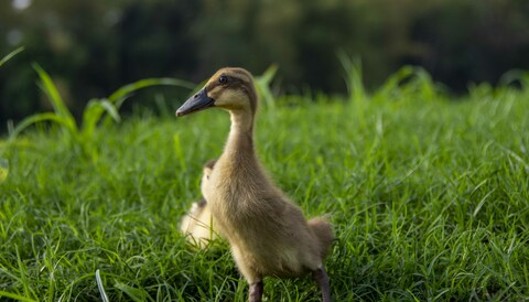 6395939cc79386677fc62d066e42d384