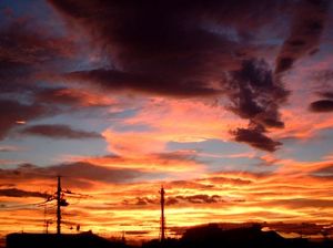 8a3510f3f72c809004d53a3448dd838d