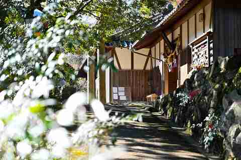 9415c3fb510093bfdd3441c661e9dcd3