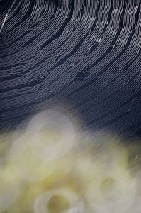 3345cd39be272efe4353ab5bf0279629