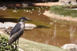 8db7a6efdeb791b031149b8d86f4e6bd