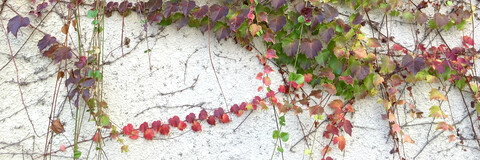 B8449fd7e0357fff68de199e39a3e768