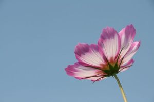 A148e74314cc6bcc703bd92e60ac8f93