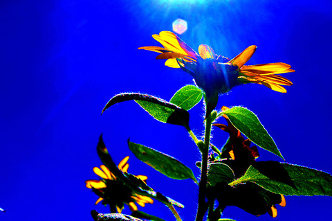 3423e45f7e730dd19573967b034b57d1