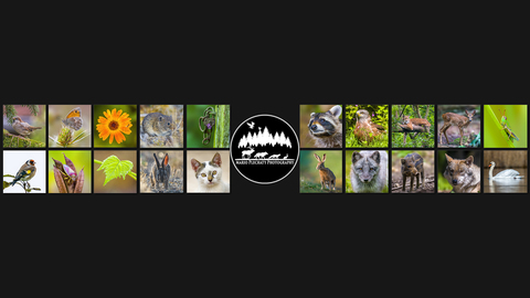 58d385a5adbb3e5c409c40348c681dc3