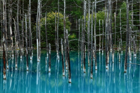 9994bb158f9b17eb7ee6356e4e441bd5