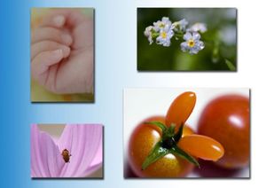 52f1b7005b3c497a1270663919218618