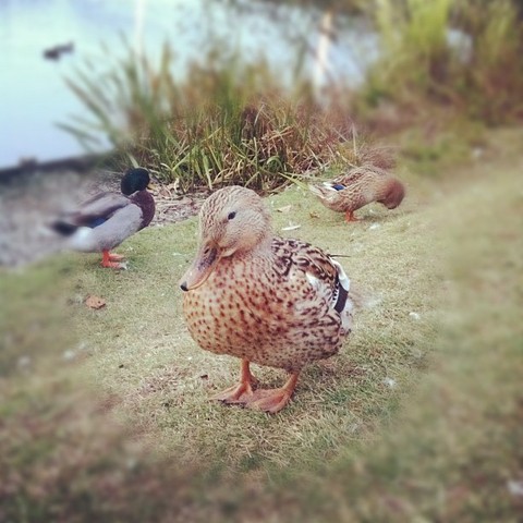 F757675892253788a021cb7957e389a3