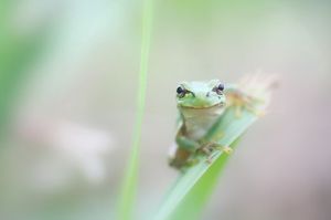 Fbbe5b1045fd7275aee0f43b364cc78e