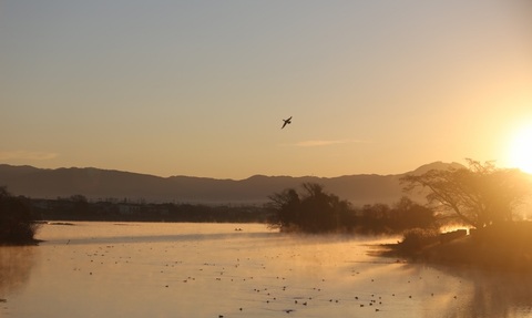 8c2637bade47948c4d6473f6214cd13f