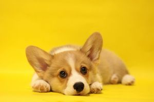 D5781baddd7e885717d635054f615631