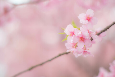 3cf56c3d1411073a848a351b361117c0