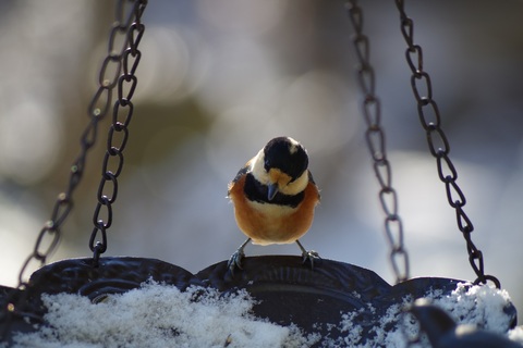 60bec555b5d85dd5664771f6766cfdfb